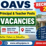 OAVS Recruitment 2026 – 815 Principal and Teacher Vacancies